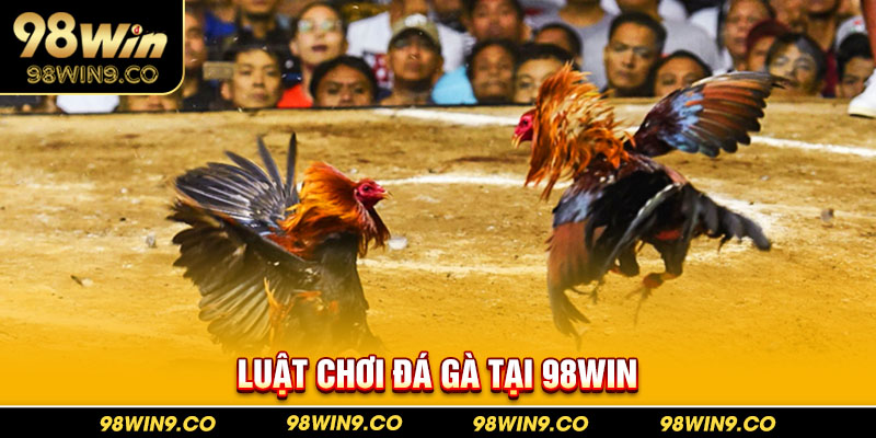 Luật chơi đá gà tại 98WIN