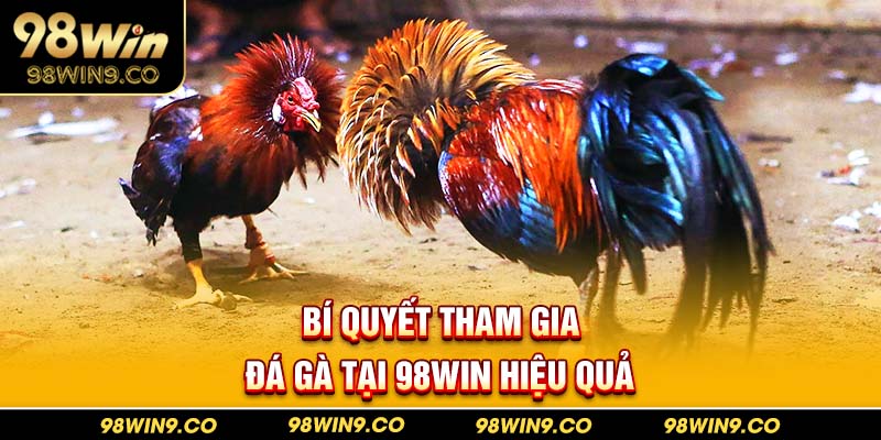 Bí quyết tham gia đá gà tại 98WIN hiệu quả